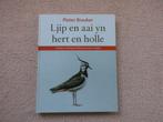 Kievit - Ljip en aai yn hert en holle, Aaisykjen as folksspo, Pieter Breuker., Ophalen of Verzenden, Zo goed als nieuw, Vogels