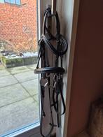 Zadel en hoofdstel shetlander, Ophalen of Verzenden, Gebruikt, Overige soorten