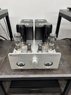 Audio Renaissance buizenversterker met extra buizen...., Ophalen, Versterker