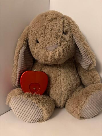 Knuffelkonijn+ Sieraden doos met eternal rosé beschikbaar voor biedingen