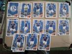 14 Kaartjes Schalke 04, Ophalen of Verzenden, Nieuw, Buitenlandse clubs, Poster, Plaatje of Sticker