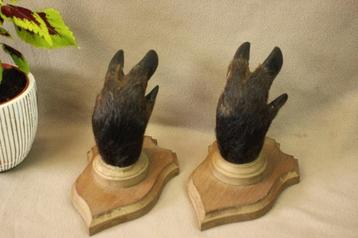 Taxidermie - Everzwijn poten kapstok beschikbaar voor biedingen