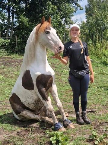 Betere connectie met je paard? Neckrope rijden? Voerbeloning beschikbaar voor biedingen