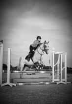Mag vandaag weg voor €4500, Dieren en Toebehoren, Paarden, Merrie, Minder dan 160 cm, B, Gechipt