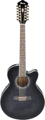 IBANEZ TWAALFSNARIG AKOESTISCHE GITAAR, Muziek en Instrumenten, Snaarinstrumenten | Gitaren | Akoestisch, Ophalen, Gebruikt, Western- of Steelstringgitaar