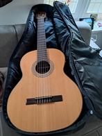 Juan Salvador gitaar met tas, Muziek en Instrumenten, Ophalen, Zo goed als nieuw, Klassieke of Spaanse gitaar