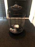 Vogelkooi met speeltjes, Dieren en Toebehoren, Ophalen of Verzenden, Zo goed als nieuw, Metaal, Vogelkooi