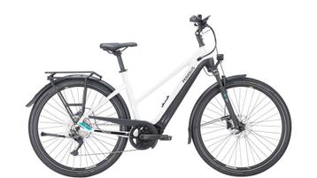 PEGASUS Van €3799 voor €2699! Premio EVO 10 Lite 500W Mi beschikbaar voor biedingen