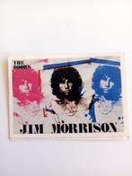 the Doors Jim Morrison Blur stickers 4x5.5 cm €0,50 per stuk, Verzamelen, Nieuw, Overige typen, Verzenden