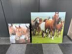 Paarden canvas doeken, Schilderij, Ophalen of Verzenden, 50 tot 75 cm