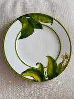 Zara Home Groot Bord - Groen Blad Design, Huis en Inrichting, Keuken | Servies, Ophalen of Verzenden, Zo goed als nieuw, Bord(en)