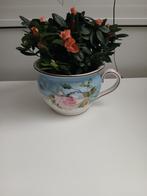 Oude potten gebruik als bloempot, Antiek en Kunst, Antiek | Keramiek en Aardewerk, Ophalen