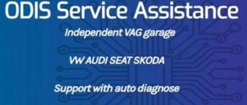 VAG AUTO-DIAGNOSE SUPPORT  beschikbaar voor biedingen