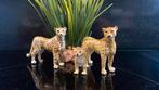 Schleich Vintage wildlife: Cheetah Familie 1997, Ophalen of Verzenden, Zo goed als nieuw, Paard, Beeldje of Figuurtje