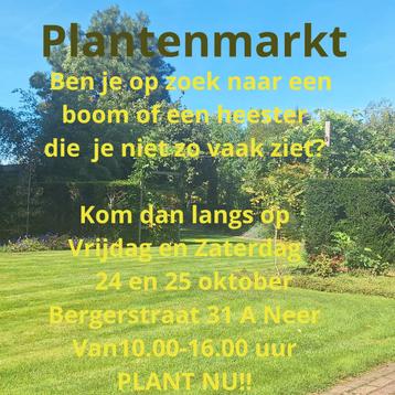 Plantenmarkt 24 en 25 oktober  beschikbaar voor biedingen