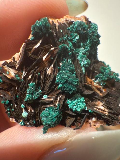 Mooie ruwe malachiet | súper kwaliteit — ook icm azuriet, Verzamelen, Mineralen en Fossielen, Mineraal, Ophalen of Verzenden
