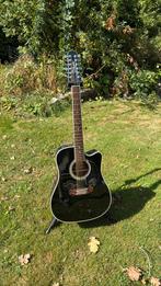 Takamine EF381 SCX 12-string, Ophalen, Gebruikt, Western- of Steelstringgitaar, 12-snarig