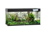 Gevraagd, Dieren en Toebehoren, Reptielen en Amfibieën | Toebehoren, Ophalen of Verzenden, Terrarium of Paludarium