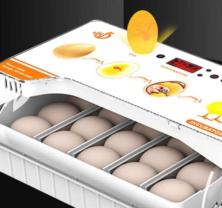 Automatische broedmachine 20 ei + Gratis broedeieren, Dieren en Toebehoren, Pluimvee | Toebehoren, Nieuw, Broedmachine, Ophalen of Verzenden