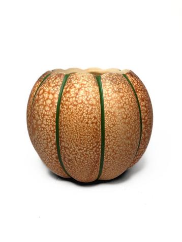 Cantaloupe meloen keramische vaas. 