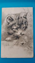 Poes kat met lieveheersbeestje 1912, Verzamelen, Ansichtkaarten | Dieren, Ophalen of Verzenden, Voor 1920, Gelopen, Hond of Kat