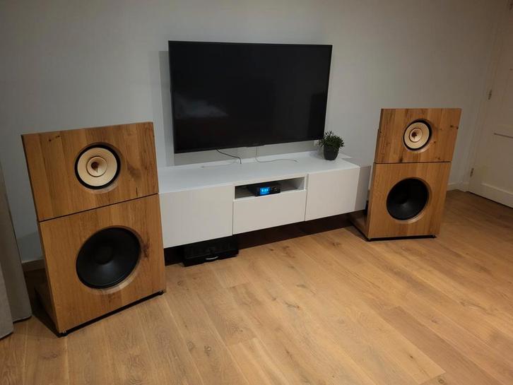 Lii audio open baffle, Audio, Tv en Foto, Luidsprekers, Front, Rear of Stereo speakers, 120 watt of meer, Overige merken, Ophalen