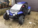 2010 Pgo Buggy Br500 Buggy