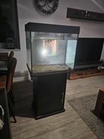 Aqarium 120Liter, Dieren en Toebehoren, Ophalen, Gebruikt