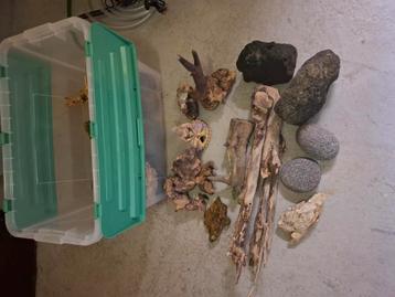 Verschillende soorten aquarium stenen en hout beschikbaar voor biedingen