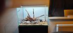 Aquarium met toebehoren, Ophalen, Zo goed als nieuw, Leeg aquarium