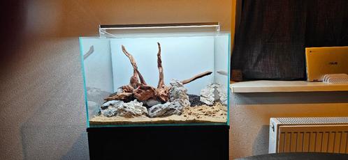 Aquarium met toebehoren, Dieren en Toebehoren, Vissen | Aquaria en Toebehoren, Zo goed als nieuw, Leeg aquarium, Ophalen