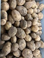 Nieuwe aardappelen frieslanders, Ophalen