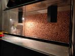 Terrarium, Dieren en Toebehoren, Reptielen en Amfibieën | Toebehoren, Ophalen, Gebruikt, Terrarium of Paludarium