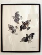 Litho Sikker Aage Hansen Deens mussen, Antiek en Kunst, Kunst | Litho's en Zeefdrukken, Ophalen of Verzenden