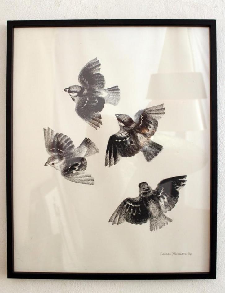 Litho Sikker Aage Hansen Deens mussen, Antiek en Kunst, Kunst | Litho's en Zeefdrukken, Ophalen of Verzenden