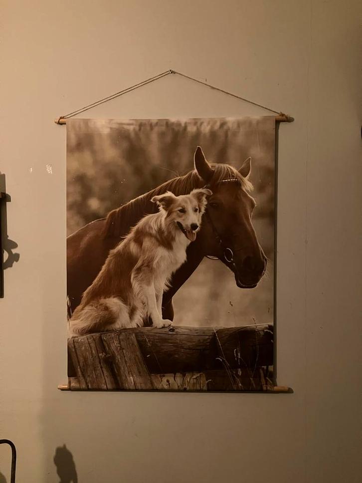 Wanddoek met Paard en Hond, Huis en Inrichting, Woonaccessoires | Schilderijen, Tekeningen en Foto's, Zo goed als nieuw, Print