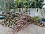 Kachel/haardhout, Minder dan 3 m³, Ophalen of Verzenden