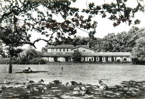 (387-248-039) Ermelo Veldwijk Ziekenhuis, Verzamelen, Ansichtkaarten | Nederland, Gelderland, Verzenden