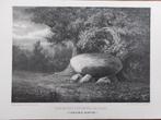 29 / Germaans offer altaar in Lage Vuursche, Antiek en Kunst, Ophalen of Verzenden