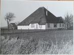 Texel, boerderij Wezenplaats ,foto 23x17, Ophalen of Verzenden, Foto
