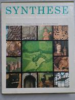 Synthese Zuid-Limburg Boek, Boeken, Ophalen of Verzenden, 20e eeuw of later, Gelezen, DSM Heerlen