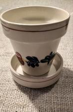 cactuspotje boerenbont, Ophalen of Verzenden