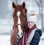 Instructie & training op maat met harmonie en vertrouwen, Diensten en Vakmensen, Dieren | Paarden | Verzorging, Oppas en Les, Paardrijles of Ponykampen
