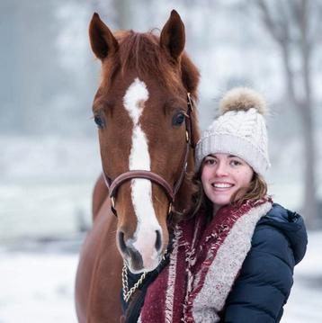 Instructie & training op maat met harmonie en vertrouwen  beschikbaar voor biedingen