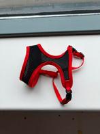 Hondentuigje kattentuigje, Dieren en Toebehoren, Ophalen, Zo goed als nieuw