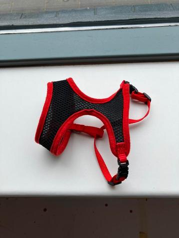 Hondentuigje kattentuigje beschikbaar voor biedingen