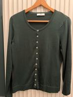 Groene Peter Hahn Cardigan, Kleding | Dames, Truien en Vesten, Ophalen of Verzenden, Zo goed als nieuw, Maat 38/40 (M), Groen