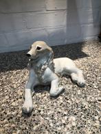 Mooie porseleinen hond, Ophalen of Verzenden