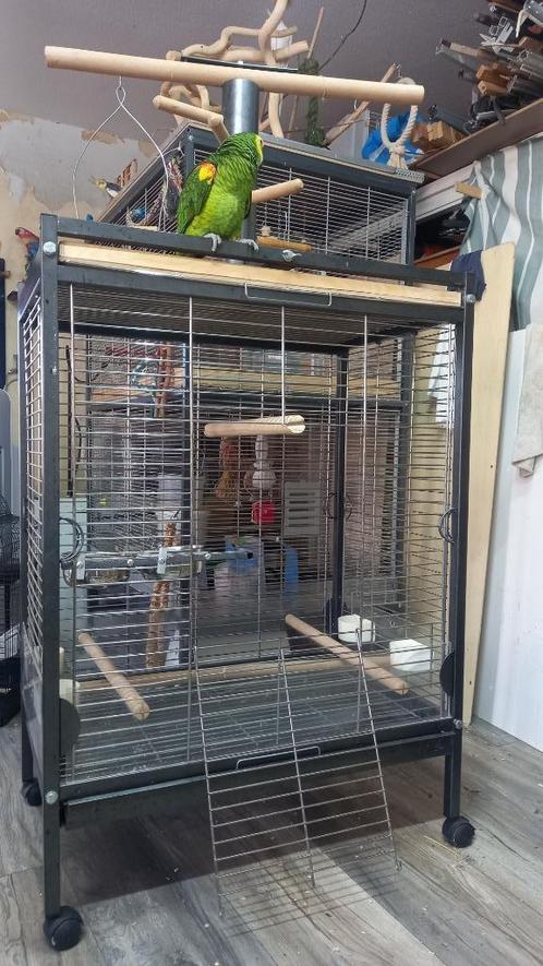 3 x Amazone Papegaaivogel kooi, Dieren en Toebehoren, Vogels | Hokken en Kooien, Zo goed als nieuw, Vogelkooi, Metaal, Ophalen