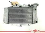 RADIATEUR Honda Dylan (PS150i) (01-1970/-) (713080), Gebruikt